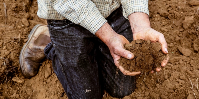 Farmer holding soil