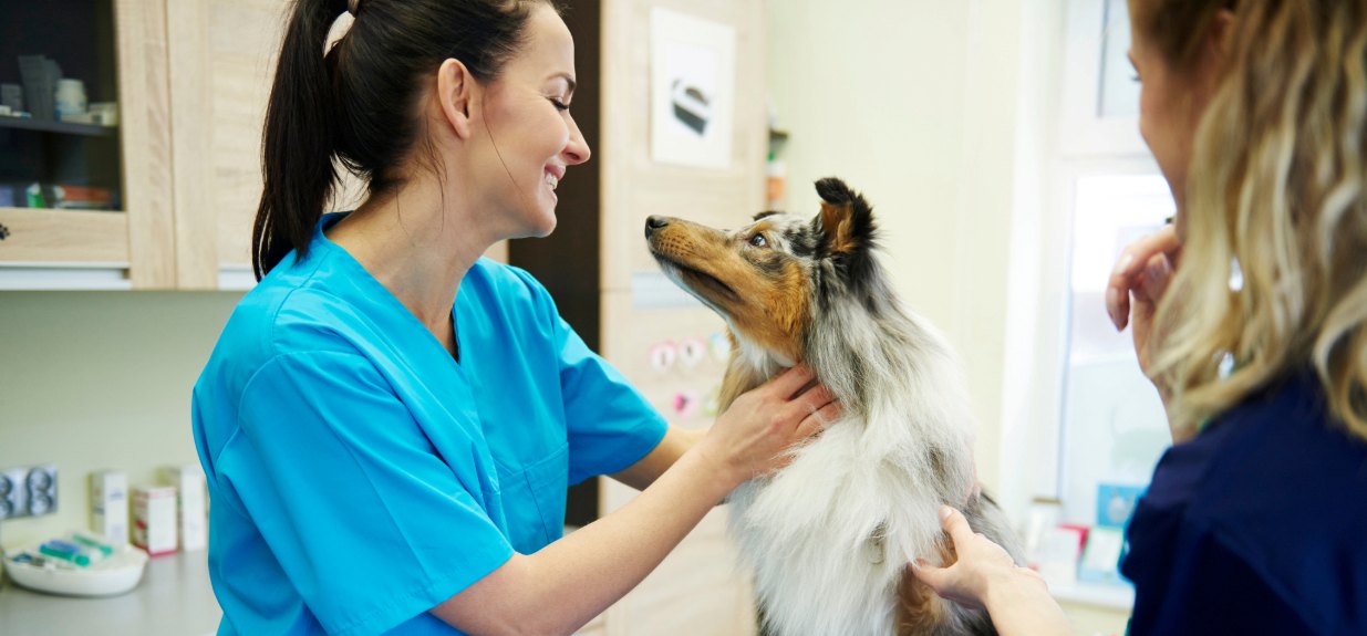 A dog looking at a smiling vet