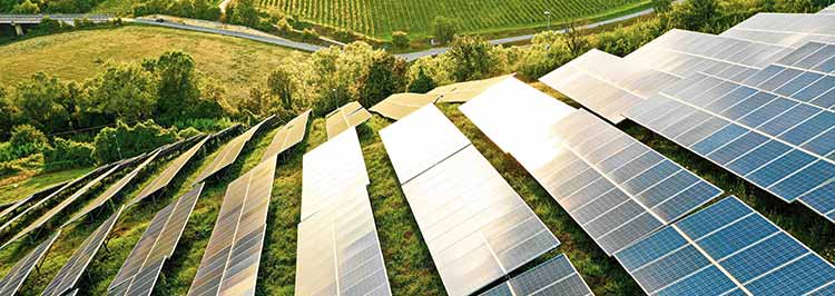 Rows of solar panels in a field