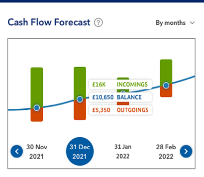 Proft and loss, for last 12 months. £60,000.00 income, £113,000 expense and £53,000 loss.