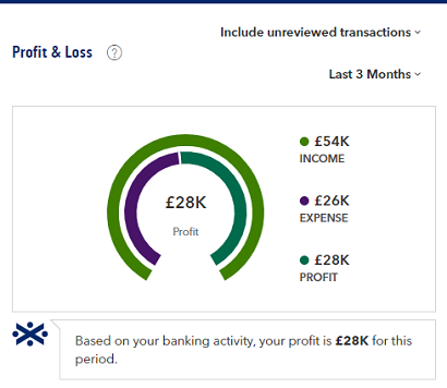 Proft and loss, for last 12 months. £60,000.00 income, £113,000 expense and £53,000 loss.