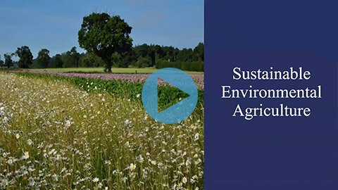 Sustainable Agriculture | Agriculture | Industry Specialists | Bank of