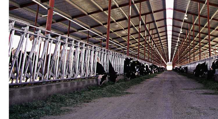 Agriculture article hub