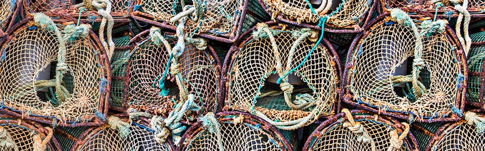 Fishing nets